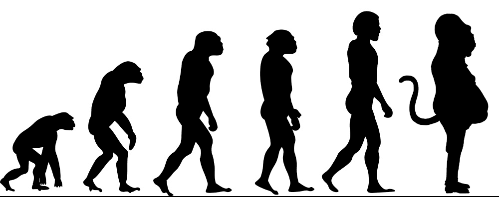 MonkoEvolution